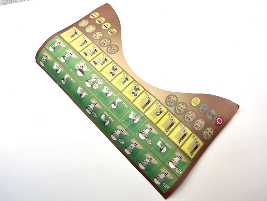 0.35mm Thickness Membrane Switch Panel Automatic Printing Digital Graphic Overlay REACH Certified